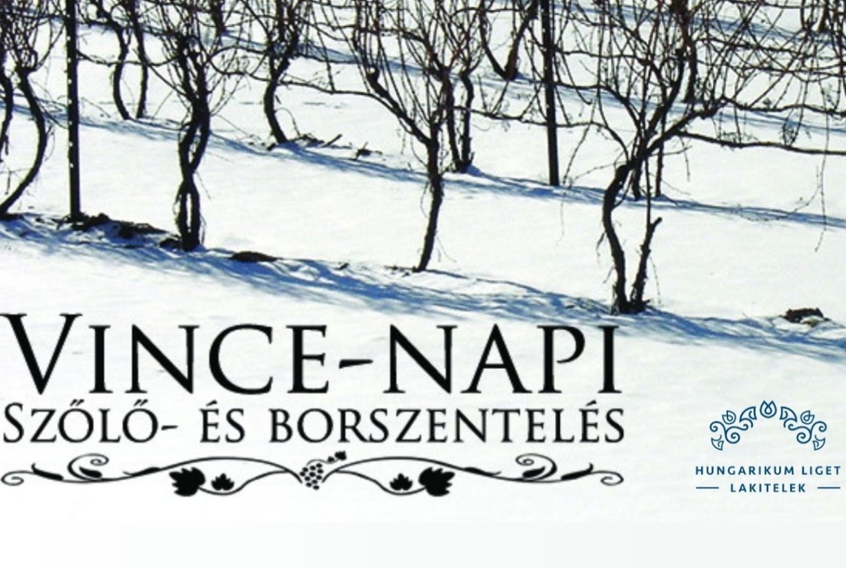 V. Vince-napi szőlőszentelő