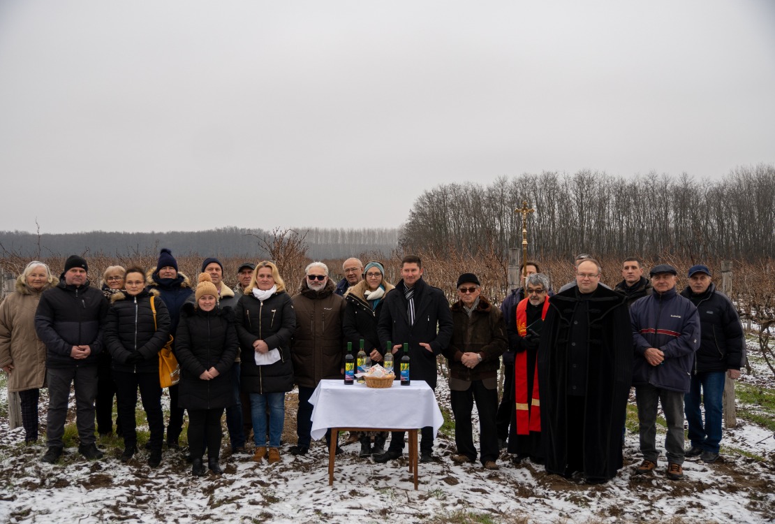 Vince-napi szőlőszentelés a Hungarikum Liget melletti szőlőkben