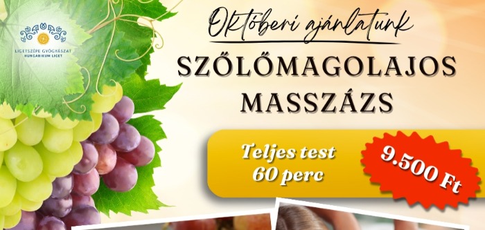 2025. októberi ajánlatunk - Ligetszépe Gyógyászat