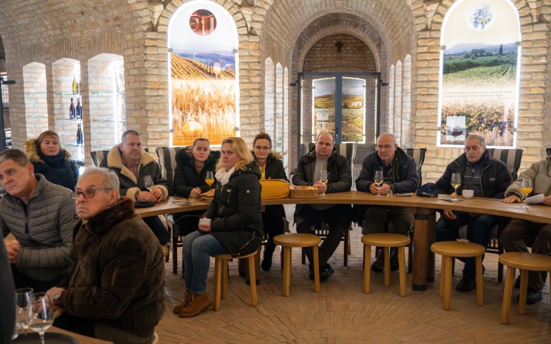 DSC01722-Enhanced-NR