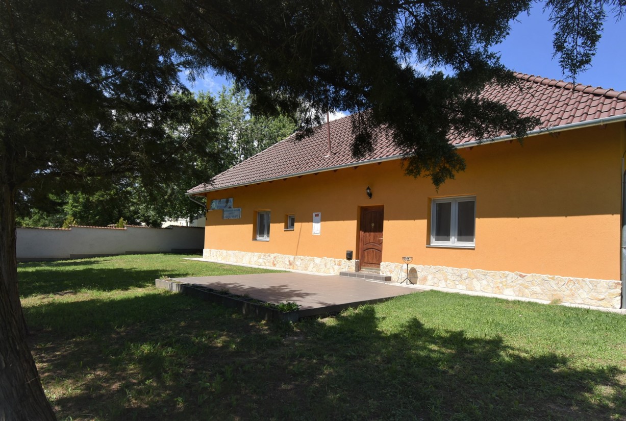 Tavirózsa (6)